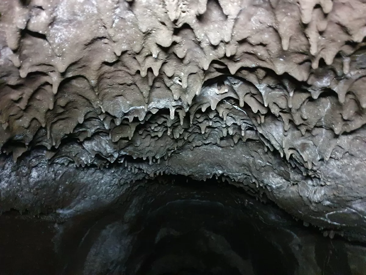 Hundezähne in der Serracozzo-Grotte
