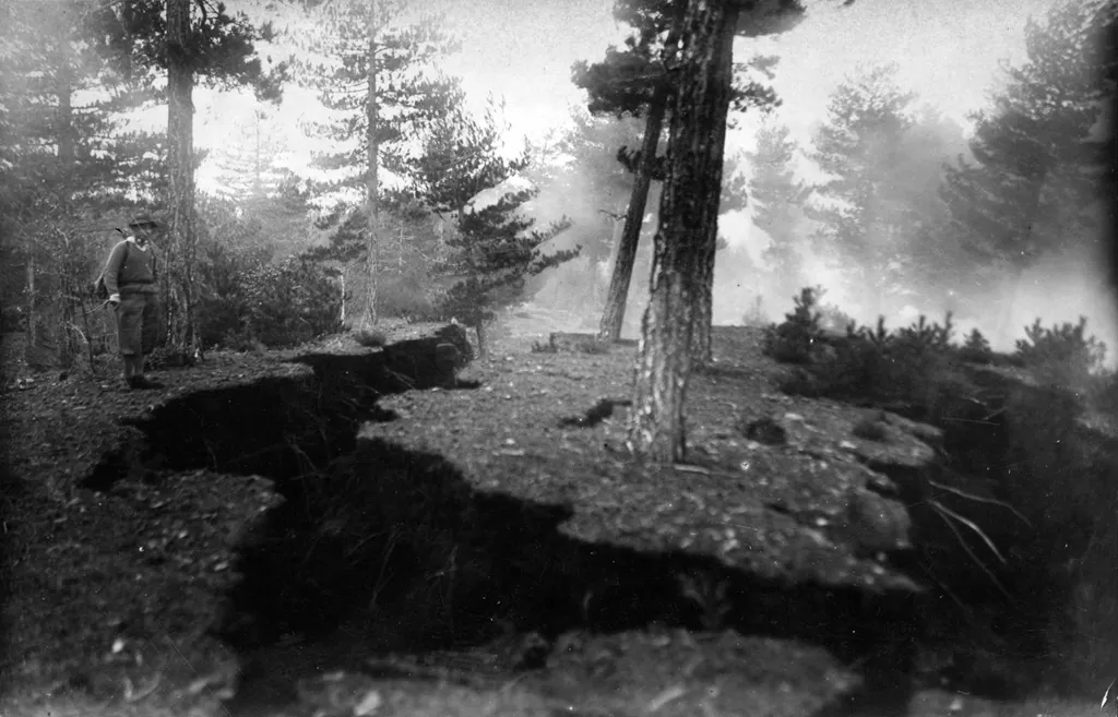 Una pineta distrutta dalla lava durante l'eruzione del 1928