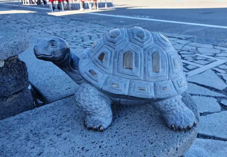En Sicile, les tortues sont placées devant la porte d'entrée pour porter chance.
