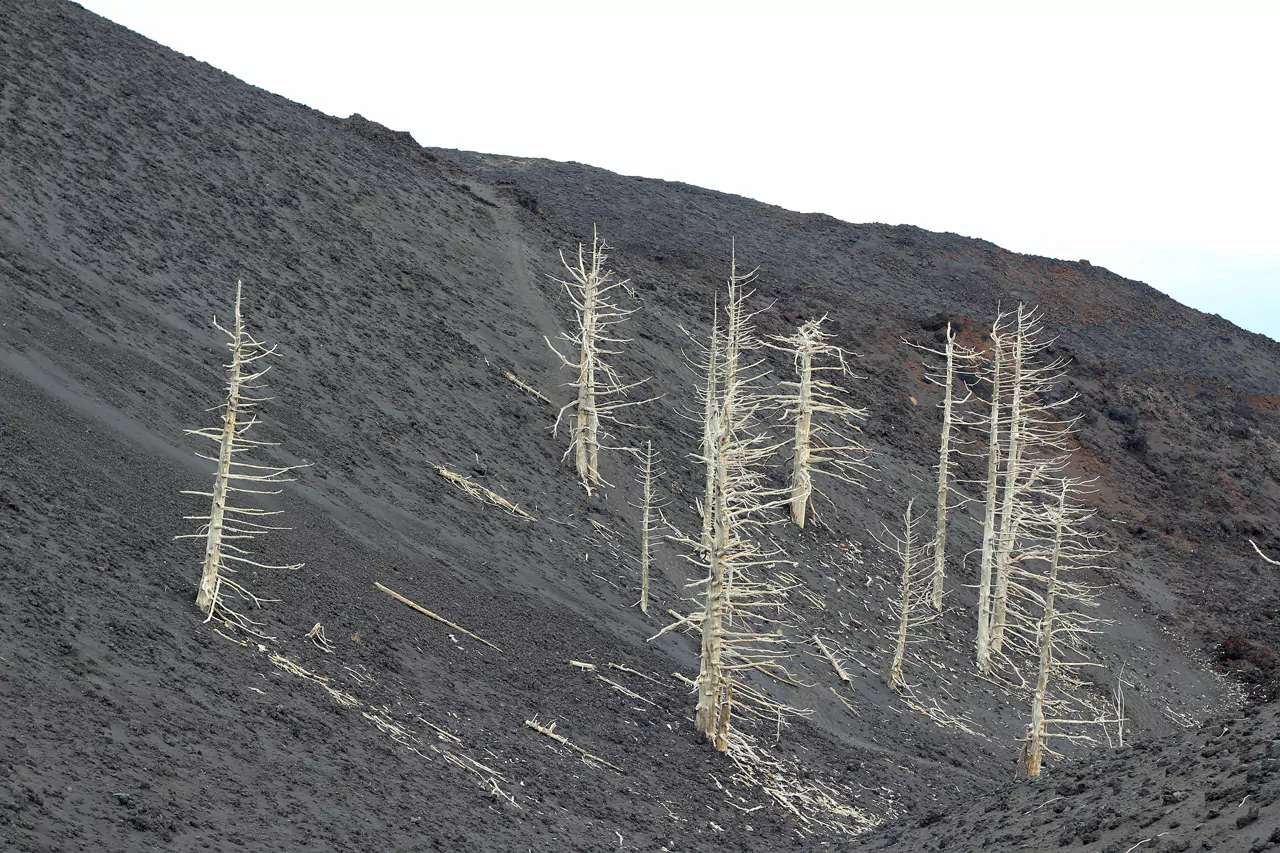 Zwarte lavawoestijn: as, lavabommen, kraters en lavarivieren zover het oog reikt