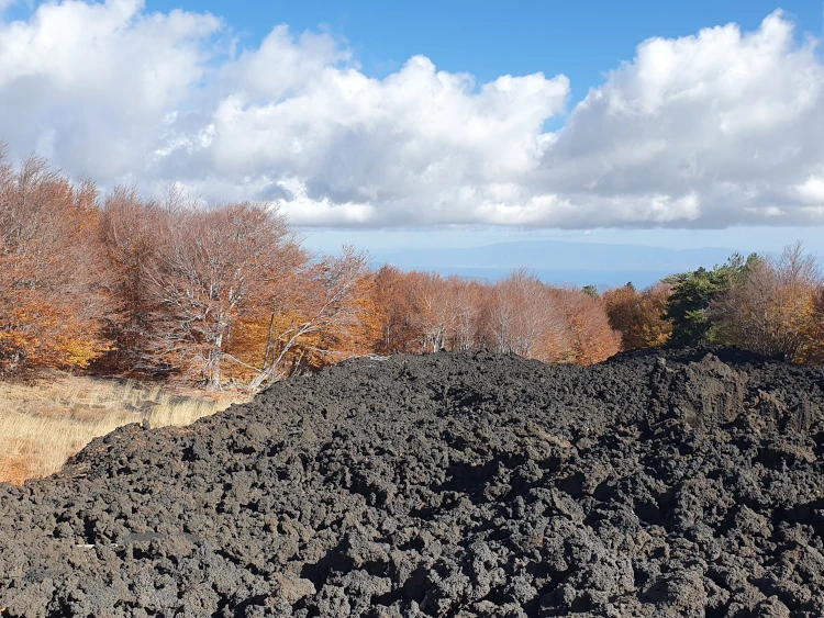 Mount Etna in autumn: the trees glow orange and brown next to the black lava flow